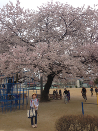 高山市北小学校☆