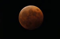 4月4日に向けてのトリートメント