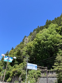 眩しい新緑 2024/05/14 10:42:05