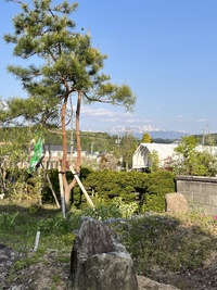 明日は最終日です！ 2022/05/04 17:58:17