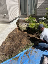 素敵な植栽ですね 2022/06/10 14:22:27