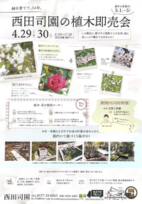 明日から植木市です 2023/04/28 10:32:33