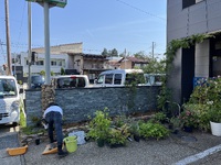 昨日は雨とヒョウが、、、 2024/06/08 09:23:48