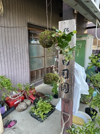 ゴールデンウィークですね 2023/05/04 09:41:21