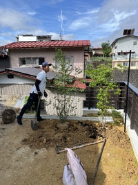植栽しております 2022/07/11 10:41:23