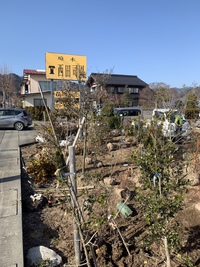 春の訪れ 2022/03/09 15:20:35