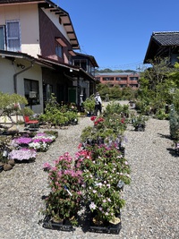 "自然との触れ合いを楽しむなら… 2024/05/03 10:32:26