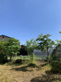 お庭のお手入れ完了 2021/06/01 16:52:50