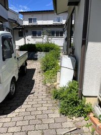 こんにちは☀️ 2022/07/28 13:45:33