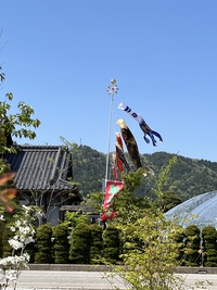 植木市開催の3日間

多く… 2022/05/05 17:31:13
