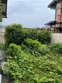 梅雨ですね 2023/06/22 18:27:54