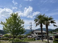 暑いですね 2022/05/25 10:09:35