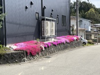 本日も営業してます 2023/05/06 11:17:49