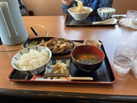 本日はランチに来てます 2023/03/27 12:49:30