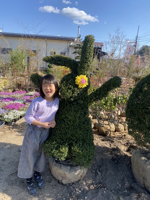うさぎちゃんに