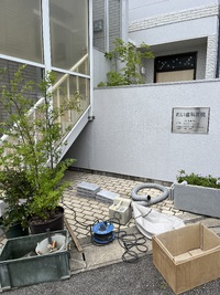 ロック調 フラワーコンテナ 2024/07/28 18:46:28