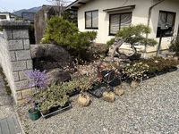 ご来園をお待ちしております 2024/04/07 09:53:48