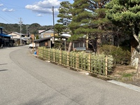 四ツ目垣 からの ドウダンツツジ からの松の風景 2022/04/23 12:37:29