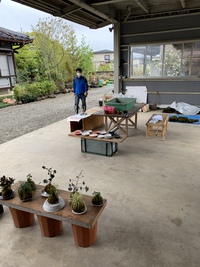 今日から植木市です 2021/05/02 09:09:06