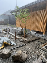 すごい雨でした☂️ 2023/07/02 09:28:21