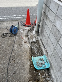 わに薬局さん 2024/05/25 12:02:12