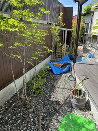 植栽してきました 2023/06/07 15:05:11