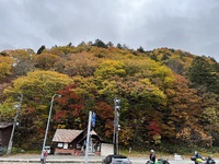 紅葉シーズン♡  ̖́- 2023/10/29 11:54:21