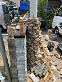 わに薬局様 2024/06/07 11:17:24