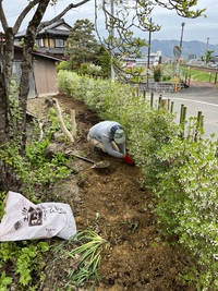 助っ人登場 2022/04/29 14:19:11