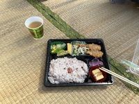 今日のお弁当 2023/10/18 12:38:52