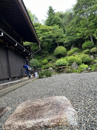梅雨入りしましたね 2024/06/21 10:31:21