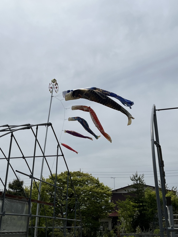 子供の日です