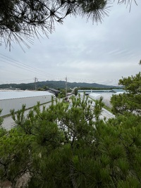 飛騨牛の大会？•*¨✨•*¨*•✧*••*¨✨•*¨*•✧*• 2024/06/25 09:33:39