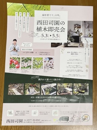 折り込み広告はご覧になりましたか？ 2022/05/01 19:05:44