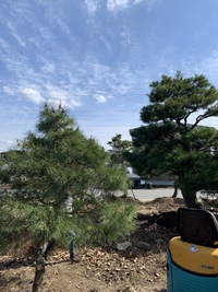 いい天気です 2022/04/02 15:01:39