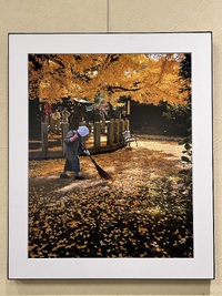 橋本弘子写真展に行ってきました
