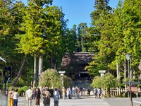 高野山に参拝させていただきました❗ 2023/10/11 20:54:48