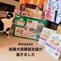 Amazon保護犬猫支援プログラム様よりご支援が届きました