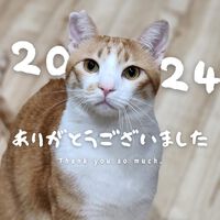 â˜†2024å¹´ã€€ã‚ã‚ŠãŒã¨ã†ã”ã–ã„ã¾ã—ãŸâ˜†