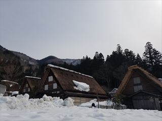 白川郷スノーゲイン　2017