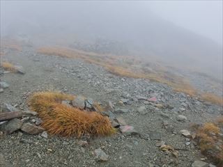 浄土山　龍王岳　立山より撤退