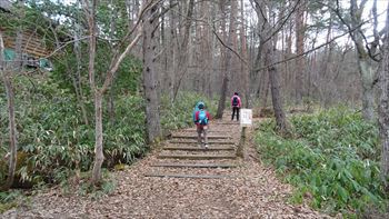 原山で撮ってみる。