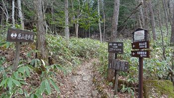 原山で撮ってみる。