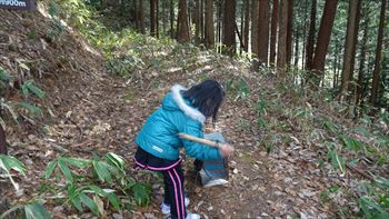 原山で撮ってみる。