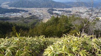 原山で撮ってみる。