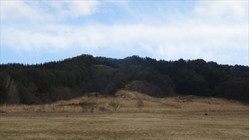 原山で撮ってみる。