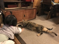 お姉さんは大変です 2021/11/25 06:12:51