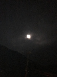 お月見できました 2021/09/22 06:18:45