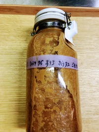 下拵えが大事 2021/11/26 06:33:04