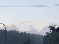新そば始まりました 2021/10/10 06:16:17